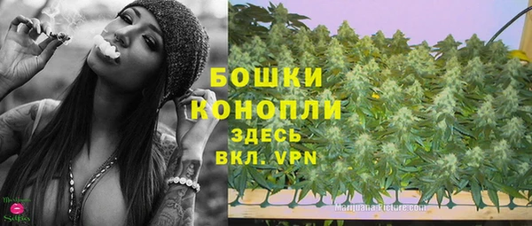 apvp Вяземский