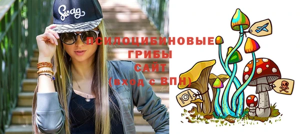 а пвп мука Горняк