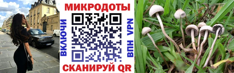 Псилоцибиновые грибы прущие грибы  Купить  Арзамас 